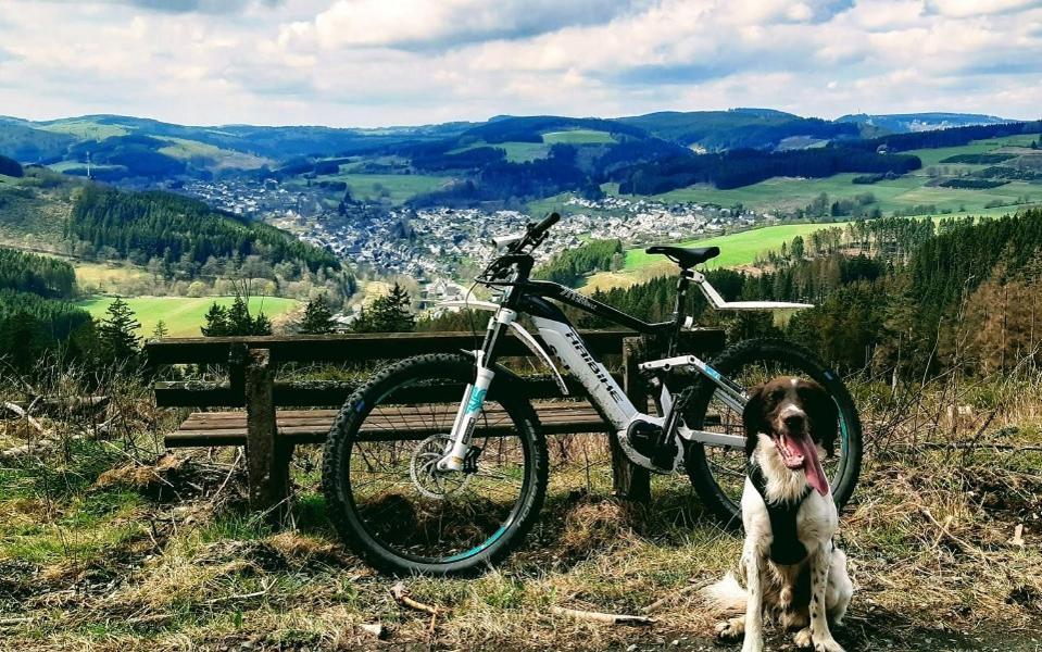 Hotel Haus Am Stein Winterberg Zewnętrze zdjęcie
